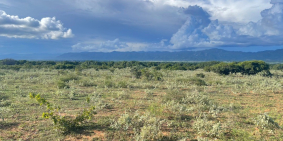 Chủ ngộp bán đất cạnh bãi tắm, khu du lịch