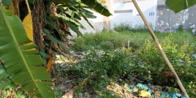 Xả lỗ! 3.75Tỷ/115m2 (32tr/m2) Đất Full Thổ Hẻm chuẩn 6m 1/Thạnh Lộc 37