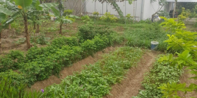 Bán nhanh lô đất thuộc phân khu quân đội Vân Đồn, Quảng Ninh giá thỏa thuận