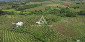 Tuyệt phẩm đất Hàm Thuận FARMSTAY hơn 5000m2 đã có thổ cư