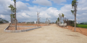 Bán đất nền dự án mặt tiền quốc lộ 1A giai đoạn đầu tiên