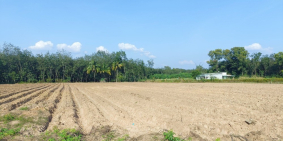 Chính chú kẹt tiền bán gấp Đất Dầu Tiếng xã Minh Tân 1000m2 chỉ 800tr SHR hổ trợ