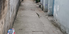 Nhà Hẻm thông 1/TTH21. 2.75 Tỷ/60m (4.6x16 Top3.2) Trệt Lầu 4PN 2WC