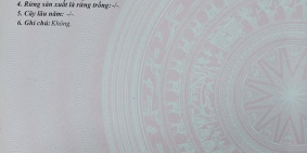 BÁN NHANH LÔ MẶT TIỀN NGUYỄN TẤT THÀNH GẦN DIAMOND BAY, 200M2 (10X20M), GIÁ 33TR