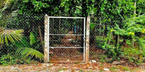 Chủ ngộp bán gấp đất vườn 1000m2 (300m2 thổ) ở Tân An Hội Củ Chi – 1tỷ5 sang tên