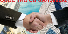 Bán biệt thự lâu đài kiểu Pháp CMT8 260m2 giá nhỉnh 60 tỷ