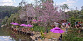 Gấp! Bán Nhanh Cặp View Rừng Hướng Vào Khu Du Lịch 450 Triệu. Lh 0911 301 067