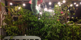 Nhà Lê Văn Duyệt, 24m2, ngang 3.2m, 5 tầng BTCT giá chỉ 5,6 tỷ, hẻm 4m