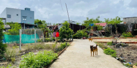 Chủ sốt ngân hàng ,đành bán đất siêu phẩm gấp giá cực mền