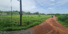 đất tây ninh gò dầu bàu đồn giá mềm