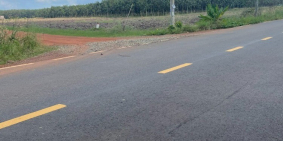 Đấ? ?á? ???? đườ?? ??ự? ????? ?ủ? ??ơ? ??à??