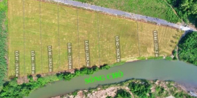 Nhanh tay chọn cho mình mảnh vườn giáp sông thơ mộng chỉ hơn 750tr