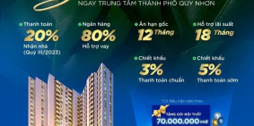 Căn Hộ View Biển The CALLA Quy Nhơn chỉ với 370tr/căn ( 20%)