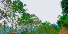 Tin nóng tại ABT về chương trình siêu ưu đãi có 102 huyện Kim Bôi