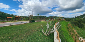 Khu nghỉ dưỡng tại Bảo Lâm giá chỉ có 4tr9 thổ cư lên tới >100m2