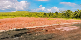 ĐẤT THỔ CƯ HOT NHẤT KHU VỰC - NGAY KCN BECAMEX 6300 HA ĐỒNG PHÚ - SỔ HỒNG RIÊNG