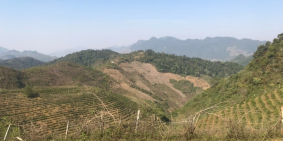 CHÍNH CHỦ CẮT LỖ ĐẤT NỀN MỘC CHÂU VIEW THUNG LŨNG SIÊU ĐẸP