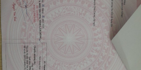 Hạ nhiệt - Chủ ngộp cần gả gấp em bé mặt tiền đường liên xã Suối Thông B Đạ Ròn