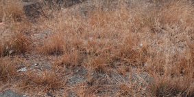 Bán đất mặt tiền tỉnh lộ 830 ngay sát quốc lộ 50 giá 5,7 công