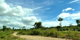 Đất gần Tp.BMT, MT 11m,đường oto,gần đường nhựa, chỉ 99 tr