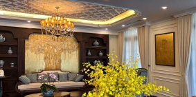 Biệt thự đơn lập 16A Làng việt kiều Châu Âu cạnh công viên 260m2 chỉ 47.9 tỷ.