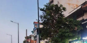 (Gò Vấp)Bán gấp nhà mặt tiền Nguyễn Thái Sơn, vị trí đẹp 43m2, 3tầng 7tỷ.