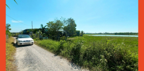 Đất lập nhà vườn 1.000 mv được chuyển đổi thổ