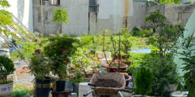 Đất trung tâm P7 , 354M2 có thổ cư, thuận tiện xây dựng ngay