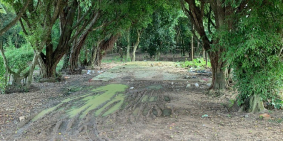 Mặt tiền nhựa DH2B Tân Châu Tây Ninh chỉ 470tr _ Hồng Mịn