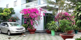 BÁN BIỆT THỰ SÂN VƯỜN HĐT45TR/TH TRƯƠNG ĐỊNH, P 9, QUẬN 3, 13 TỶ7, 0933644449