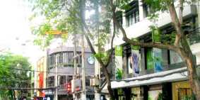 BÁN BIỆT THỰ SÂN VƯỜN HĐT45TR/TH TRƯƠNG ĐỊNH, P 9, QUẬN 3, 13 TỶ7, 0931144449