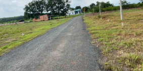 Đường Nhựa, Sổ Sẵn cam kết lợi nhuận.