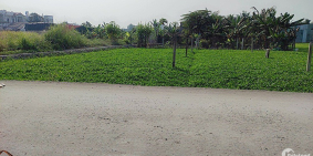 Đất đường xe tải rộng, gần UBND Xã Bình Mỹ, Củ Chi, 990tr