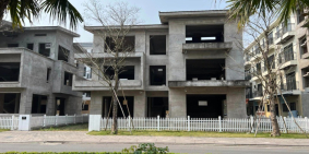 Bán biệt thự Vườn Đào Ecopark TP Hải Dương, 432m2, mt 25.6m, 3 tầng, đường đôi 2