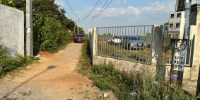 Bán Gấp 2 Sào Trái Cây Cách Nhựa 100m