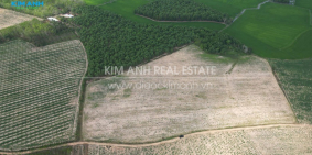 Bán Đất nông nghiệp làm nhà vườn tại Châu Thành – Tây Ninh