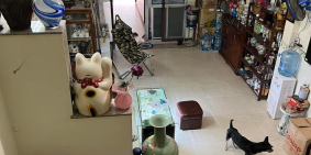 Bán nhà mặt tiền kinh doanh đường số 9, 3 tầng,đường nhựa 8m,144m2 chỉ 10.6 tỷ