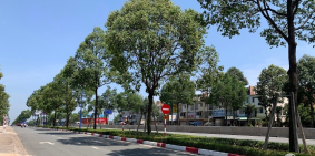 giảm 1.4tỷ bán gấp đất mặt tiền Mỹ Phước Tân Vạn,P.Thới Hòa 300m2(10x30),4.85tỷ