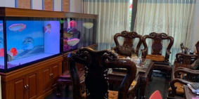 BÁN NHÀ MẶT TIỀN ĐƯỜNG SƠN KỲ. DT: 74m2