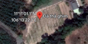 Bán đất nền giá rẻ KCN Thạnh Đức, Gò Dầu, Tây Ninh