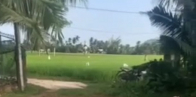 Bán đất Cát Hanh, phù Cát. Bình Định -
DT gần 1000m2 Có 200tc