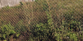 Đất mặt tiền đường xuân lập thành phố long khánh