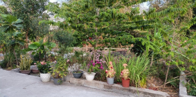 Vị Trí An Cư, Giá Đầu Tư Phú Vinh ,Vĩnh Thạnh, Nha Trang