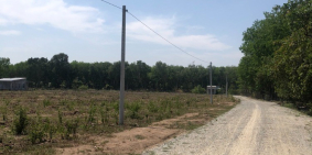 Bán đất sào gần Khu Đô Thị AMIRA Chơn Thành