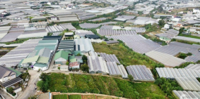 Bán đất Mặt Tiền Trịnh Hoài Đức, Phường 11, Đà Lạt. Sổ hồng riêng thổ cư