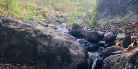 Gia đình bán rẻ lô đất 25,000m2 có ao, suối, thác tại huyện Lương Sơn tỉnh HBình