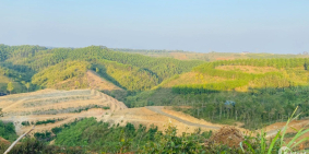 Đất nền ven TPHCM dọc cao tốc chỉ từ 250 triệu/nền