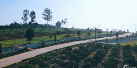 Bán đất nghỉ dưỡng Đà Lạt 2. Giá chỉ 1.1tr/m2 bao sang tên sổ