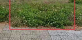 Bán đất đường Trường Sa Đà Nẵng, khu vệt sân bay nước mặn, đối diện Ariyan