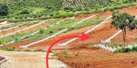 BÁN ĐẤT CHÍNH CHỦ, CAM KẾT GIÁ RẺ, CÓ SẴN TC.